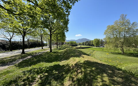 Alle Mura: Vert, Herbe, La Nature, Paysage Naturel, Végétation, Prairie, Colline, Plaine, Paysage, Lot Terre
