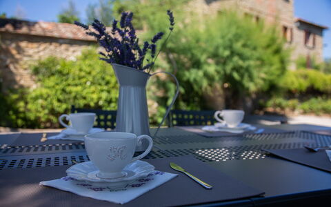 Villa i Cocciai: Table, Coupe, Drinkware, Arbre, Vaisselle, Tasse À Café, Plante, Serveware, Nappe De Table, Tasse À Thé