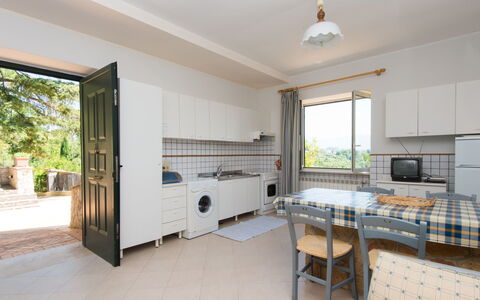 Logement:&nbsp;L'oleandro 808.6