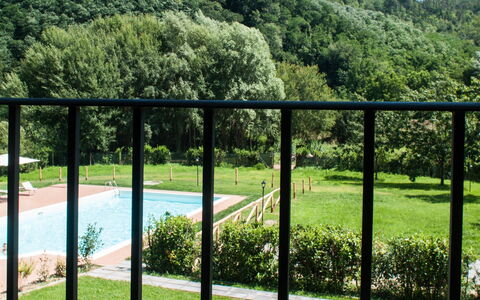 Casale 180: Le Fer, Clôture, Arbre, Métal, Architecture, Accueil Escrime, Herbe, Plante, Lot Terre, Jardin