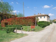 agriturismo-cabbiavoli-chianti-multiproperty-casa-marcello-pesco-external