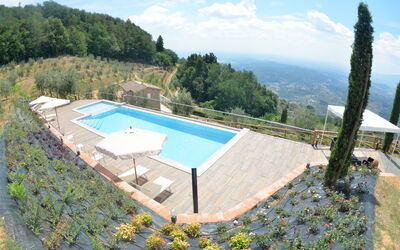 location de vacances Villa Orchidea - Petrognano, Toscane, Italie