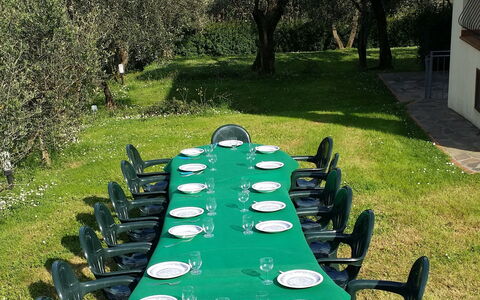 Villa Vaniglia Proprietà: Vert, Herbe, Propriété, Pelouse, Table, Arbre, Loisir, Jardin, Chaise, Plante