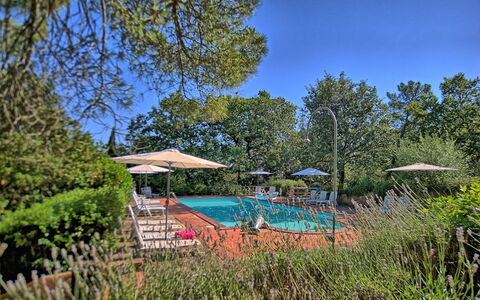 Sole Nel Prato: Propriété, Immobilier, Arbre, Réserve Naturelle, Ciel, Botanique, Maison, Piscine, Loisir, Jardin