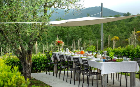 Borgo Gerlino: Parapluie, Table, Tableau De Plein Air, Jardin, Cour, Meubles, Herbe, Arrière-Cour, Patio, Pelouse