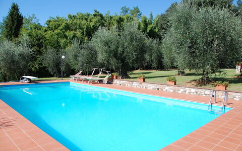 Casa Tonio: Piscine, Propriété, Loisir, Immobilier, Vacances, Herbe, Arbre, Bâtiment, Maison, Centre De Loisirs