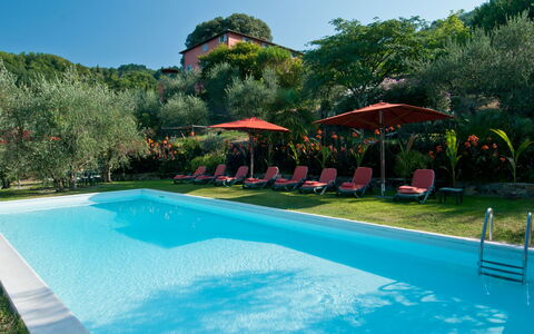Villa Igea 13: L'Eau, Plante, Propriété, Piscine, Ciel, Bleu Azur, Arbre, Bâtiment, Ombre, Plan D'Eau