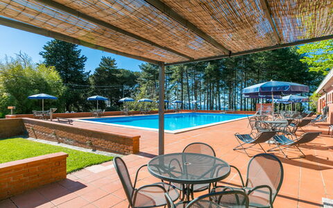 Logement:&nbsp;San Vivaldo 612.2