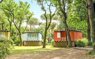 Logement:&nbsp;Morellino 629.4