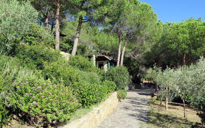Logement:&nbsp;Piccola Oasi 9 674.7