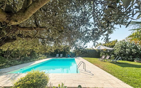 Ca' Del Vento: Bleu, Piscine, Arbuste, Recours, Jardin, Ombre, Eco Hôtel, Aménagement Paysager, Biens, Arrière-Cour