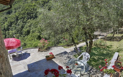 Castagneto