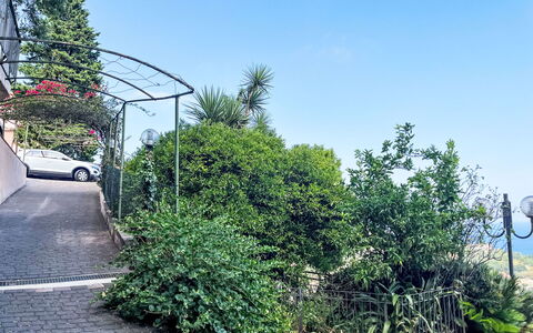 Pietra Ligure 612: Végétation, Arbuste, Suppression Des Plantes Ligneuses, Jardin, Ombre, Aménagement Paysager, Allée, Passerelle, Chemin