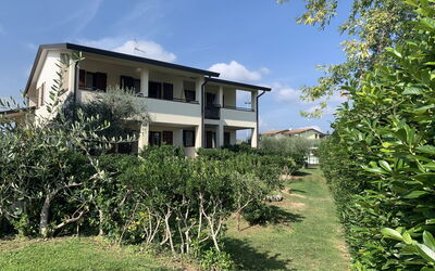 Logement:&nbsp;Primera 653.1