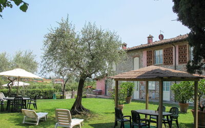 Lucca 657