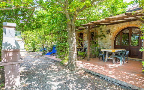 Logement:&nbsp;Falco 626.22