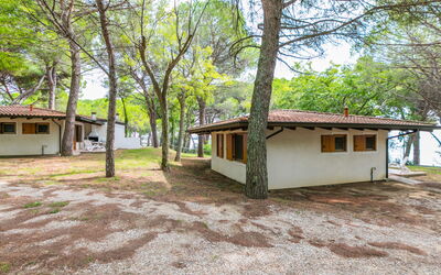 Logement:&nbsp;Belvedere Pineta Camping Village 653.2