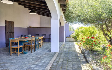 Oliviola: Jardin, Ombre, Hacienda, Arrière-Cour, Biens, Cour, Aménagement Paysager, Ferme, Mobilier De Jardin, Tableau De Plein Air