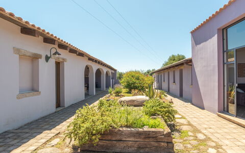 Oliviola: Ciel, Plante, Fenêtre, Lot Terre, Surface De La Route, Bâtiment, Arbre, Mur, Herbe, Façade