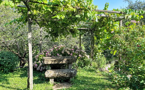 Casa Lienartova: Vert, Feuille, Jardin, Communauté Des Plantes, Ombre, Printemps, Couverture De Sol, Cour, Jardin Botanique