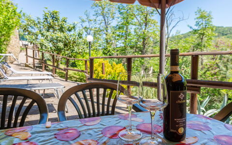 Vittorio: Table, Vaisselle, Propriété, Meubles, Ciel, Drinkware, Chaise, Bouteille, La Nature, Arbre