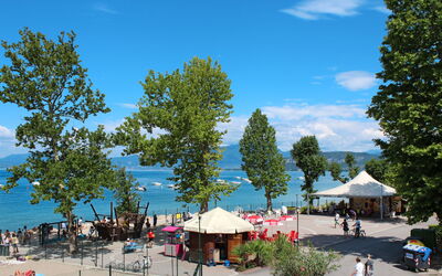 Bardolino 634
