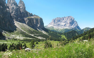 Campitello 647