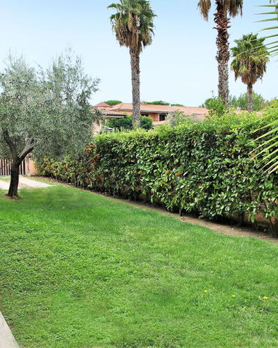 Barbie: Herbe, Pelouse, Vert, Végétation, Propriété, Arbre, Famille Grass, Palmier, Immobilier, Plante