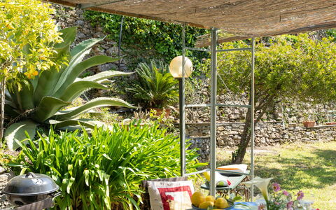 Molini di Prelà 627: Plante, Pot De Fleur, Botanique, Plante D'Appartement, Chaise, Jaune, Ombre, Herbe, Terrestre Des Plantes, Paysage