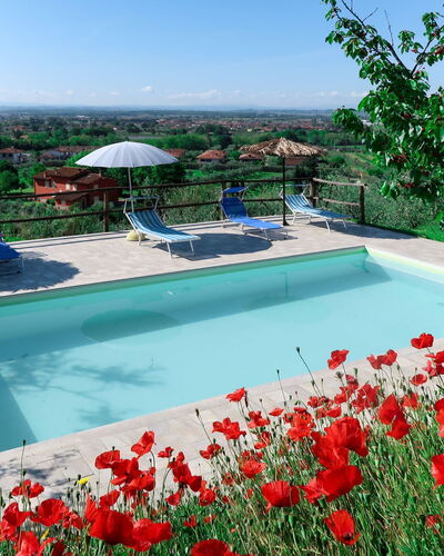 Agrumi: L'Eau, Fleur, Plante, Ciel, Propriété, La Nature, Bleu Azur, Piscine, Arbre, Pétale