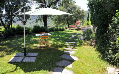 Ambra 651