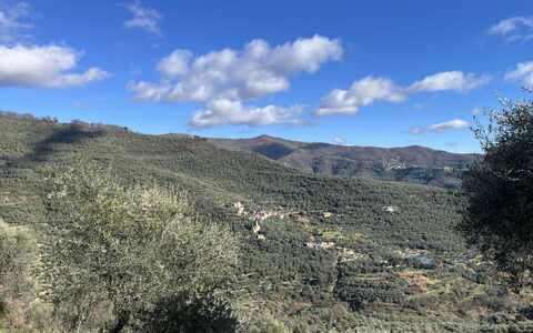 Valloria 602: Montagnes Relief, Montagne, Végétation, Colline, Montagnes, Écorégion, Communauté Des Plantes, Paysage, Région Sauvage, Terrain