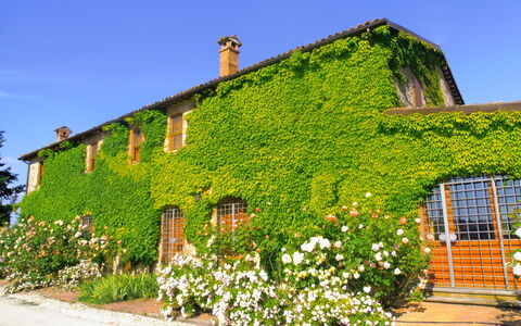 Villa Venanzo: Propriété, Maison, Vert, Végétation, Mur, Bâtiment, Chalet, Arbuste, Plante, Zone Rurale