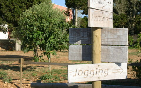 Tenuta Vigna Corallo: Mur, Arbre, Lot Terre, Paysage, Enseignes, Plante, Parc National, Roche, Parc D'État, Signe