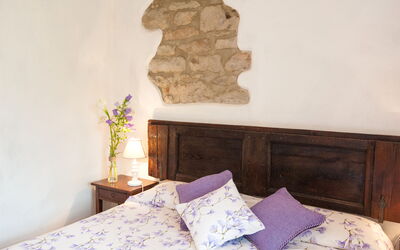 Logement:&nbsp;Tabaccaia