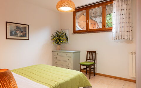 Logement:&nbsp;Begonia