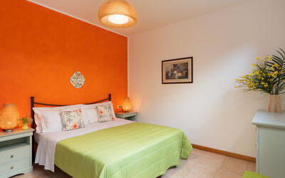 Logement:&nbsp;Begonia
