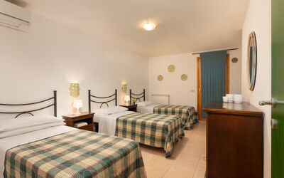 Logement:&nbsp;Begonia