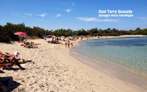 Villa Orchidea: Plage, Ciel, Vacances, Tourisme, Océan, Mer, Été, Rive