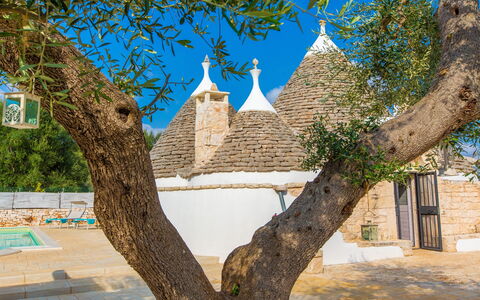 Trullo Del Mandarino: Arbre, Architecture, Mur, Suppression Des Plantes Ligneuses, Bâtiment, Plante, Branche, Tourisme, Maison, Ville