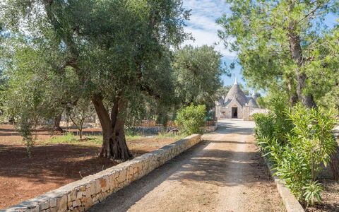 Trullo Suenn Con Piscina: Arbre, Propriété, Route, Rue, Piste, Paysage, Plante, Passerelle, Immobilier, Parc