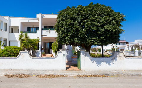 Appartamento Panorama Sul Mare: Zone Résidentielle, Arbre, Propriété, Quartier, Maison, Domicile, Ville, Architecture, Immobilier, Mur