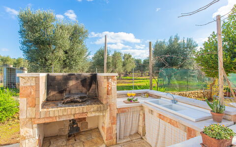 Trullo Con Piscina Per Bambini: Plante, Ciel, Nuage, Propriété, Bâtiment, Arbre, Bois, Pot De Fleur, Architecture, Herbe