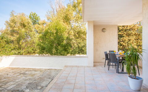 Villa Salento: Plante, Ciel, Pot De Fleur, Ombre, Bois, Sol, Herbe, Sol, Surface De La Route, Plante D'Appartement