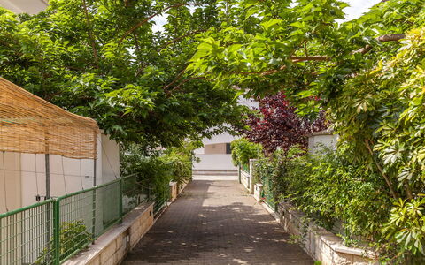 Villa Victory: Arbre, Passerelle, Botanique, Plante, Feuille, Suppression Des Plantes Ligneuses, Maison, Route, Ruelle, Architecture