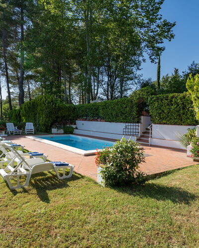 Villa Campiglia: Propriété, Maison, Immobilier, Domicile, Biens, Chalet, Bâtiment, Piscine, Arrière-Cour, Herbe