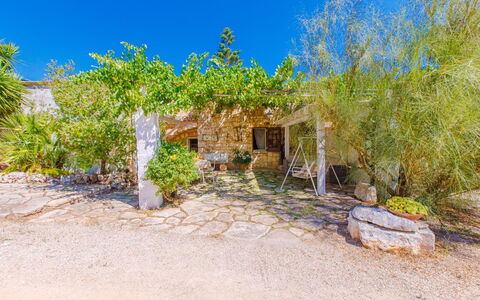 Masseria Pagliamonte: Plante, Communauté Des Plantes, Ciel, Fenêtre, Lot Terre, Herbe, Maison, Chalet, Paysage Naturel, Immobilier