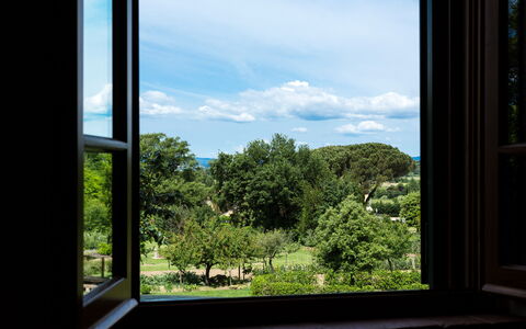 Casale Vacanze Il Granaio: Végétation, Ciel, Fenêtre, Bleu, Arbre, Environnement Naturel, Botanique, Maison, Feuille, Pièce