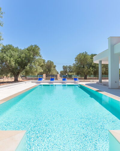 Villa Stella Cadente: L'Eau, Ciel, Bâtiment, Piscine, Bleu Azur, Arbre, Ombre, Rectangle, Herbe, Loisir