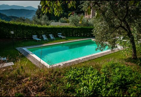 Orto Degli Olivi Proprietà: Piscine, Propriété, Paysage Naturel, Herbe, L'Eau, Loisir, Maison, Arbre, Villa, Architecture